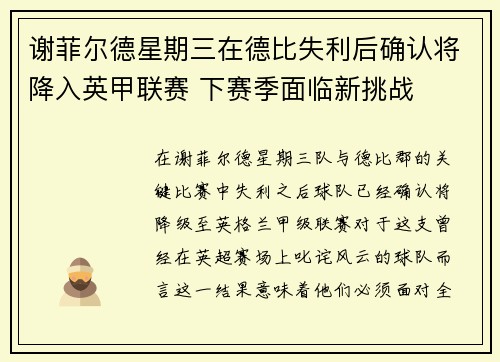 谢菲尔德星期三在德比失利后确认将降入英甲联赛 下赛季面临新挑战
